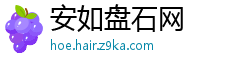 安如盘石网